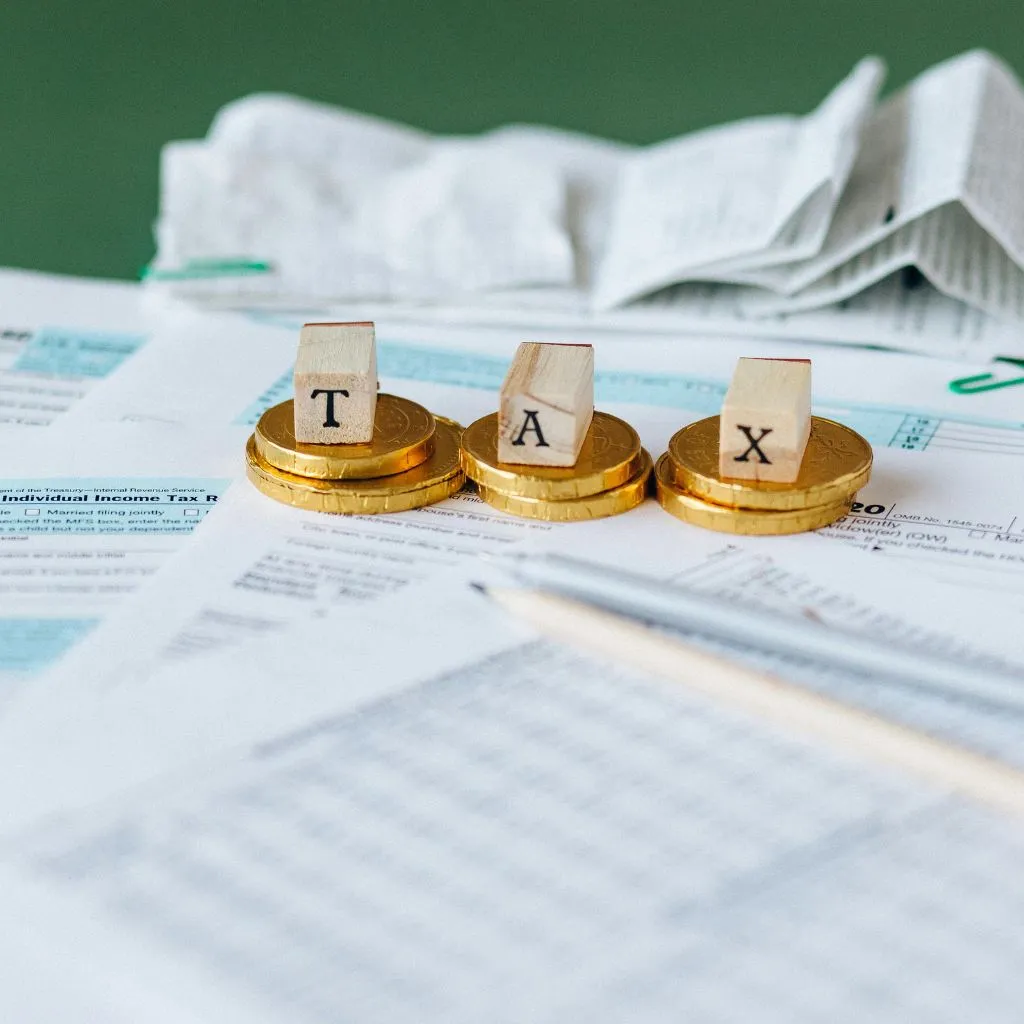 taxes for dummies