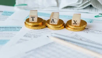 taxes for dummies